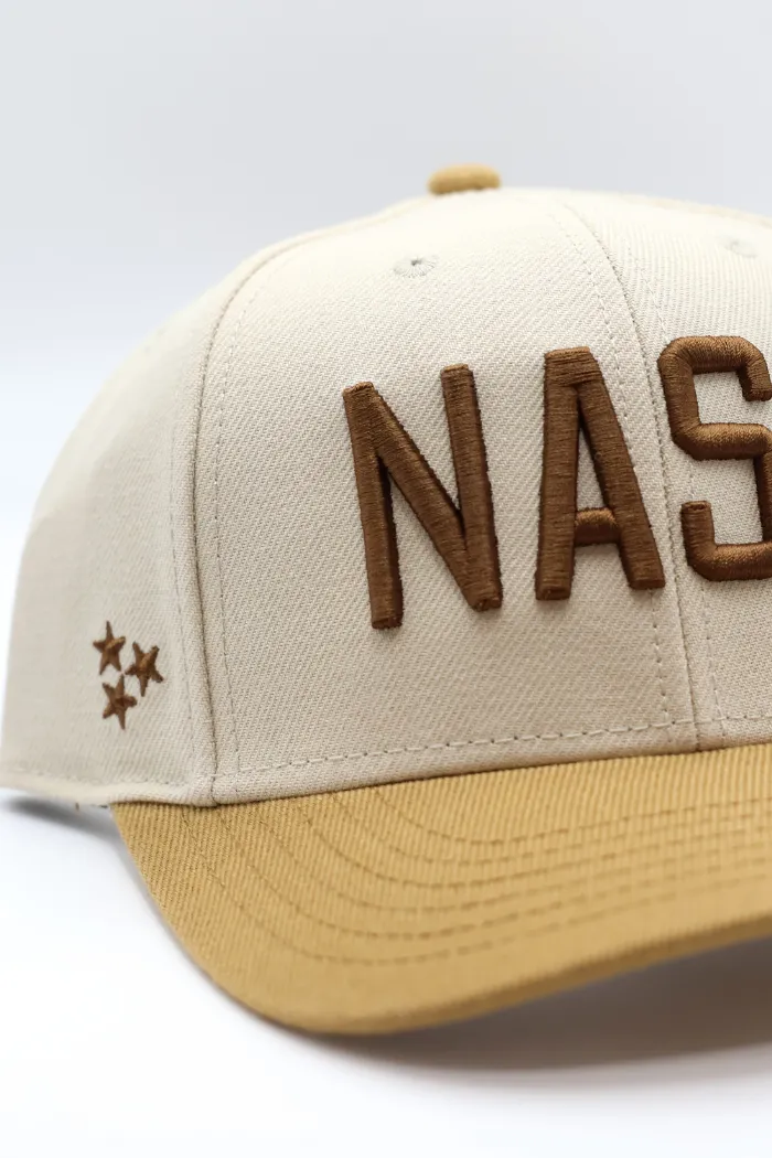 NASH Snapback in Camel