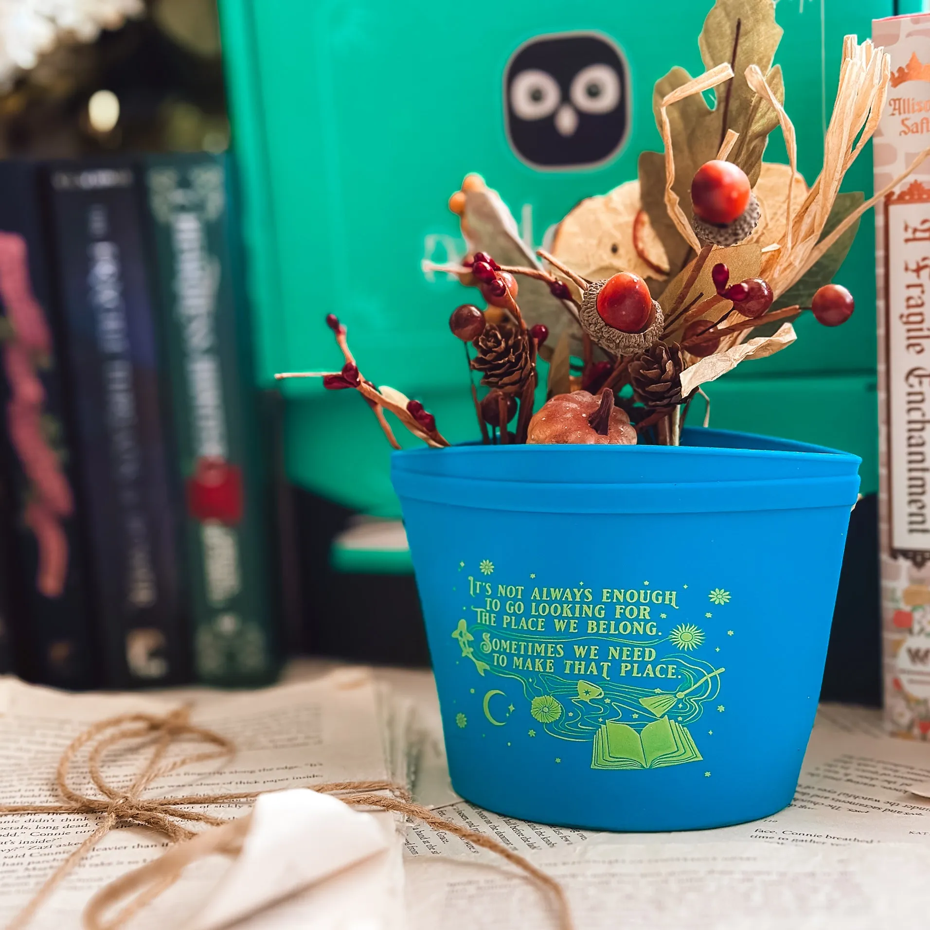 OwlCrate 'SECRETS & MASKS' Box
