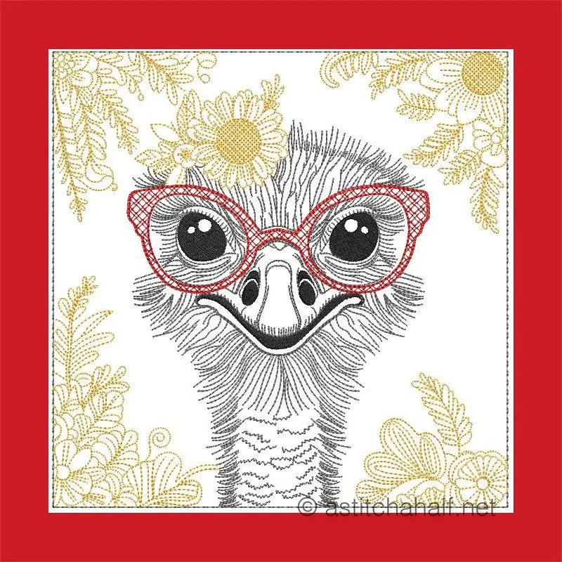 Pretty Belinda Ostrich with Glasses Combo