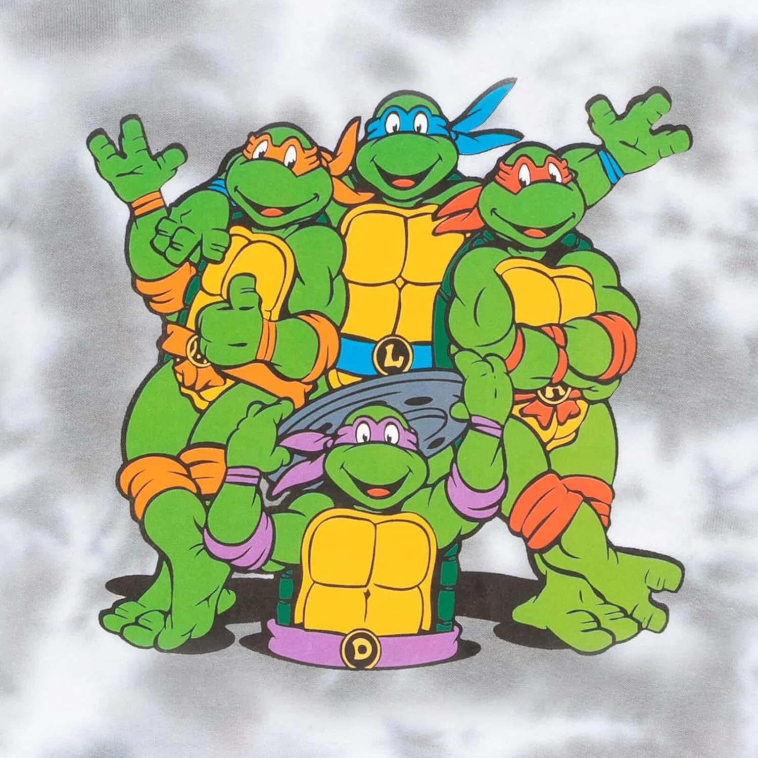 Teenage Mutant Ninja Turtles TMNT Leonardo Michelangelo Donatello Raphael Fleece Pullover Hoodie Toddler to Big Kid
