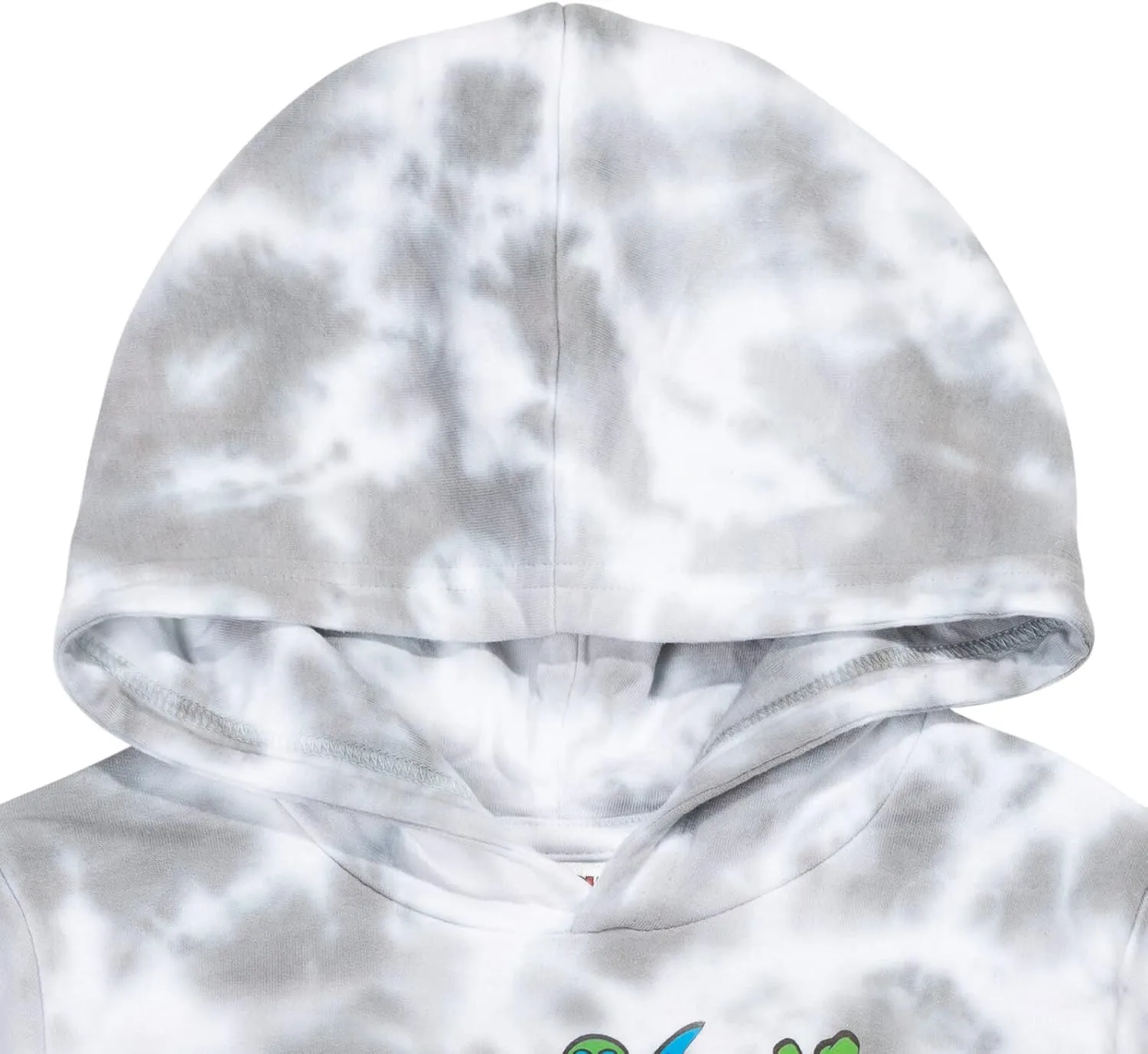 Teenage Mutant Ninja Turtles TMNT Leonardo Michelangelo Donatello Raphael Fleece Pullover Hoodie Toddler to Big Kid